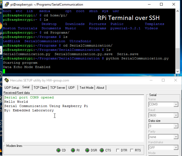 python serial port example windows script